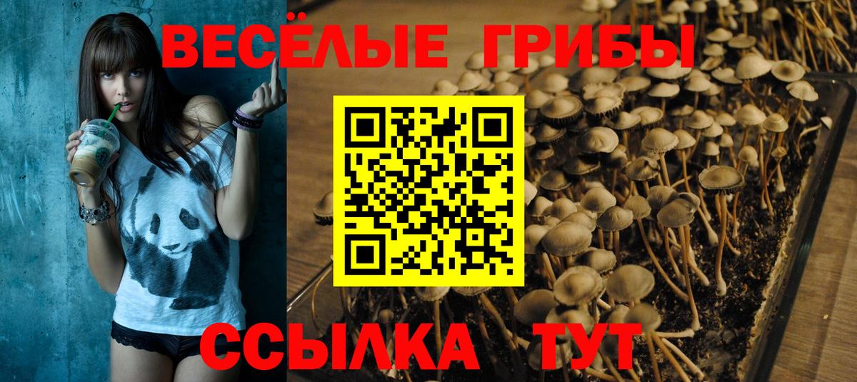 Улан-Удэ  Галлюциногенные грибы мухоморы  Вход с VPN 